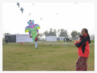 Kite Festival