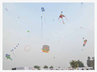 Kite Festival