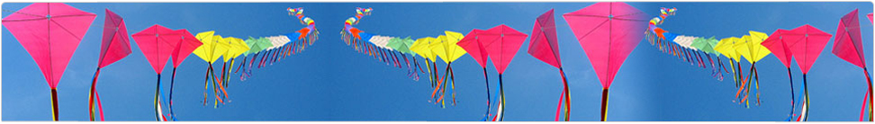 Kite Festival